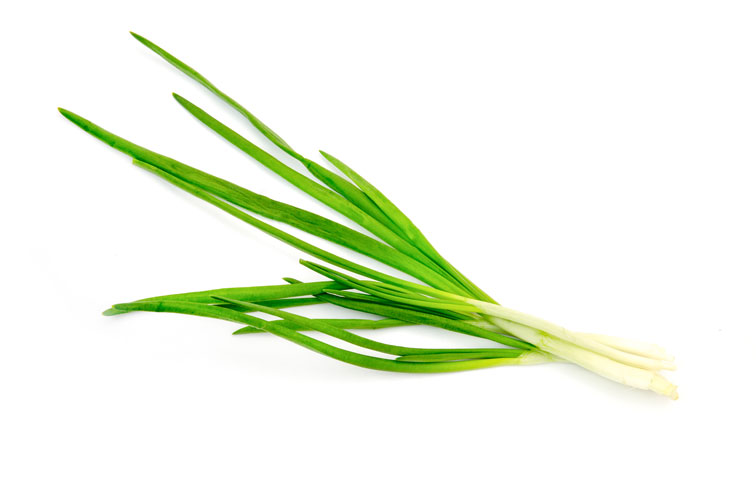 Citronnelle verveine des Indes lemongrass